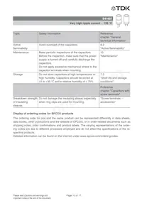 B41607A8118M009 Datasheet Page 13