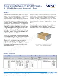 C0603X102F3GAC7867 Datasheet Cover