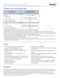 C0603X102F3GAC7867 데이터 시트 페이지 2