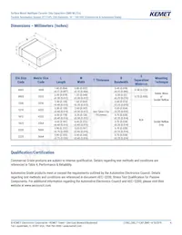 C0603X102F3GAC7867 Datasheet Page 4