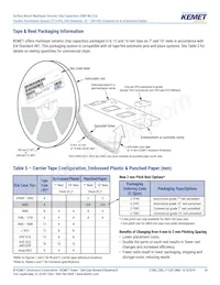 C0603X102F3GAC7867 Datasheet Pagina 14