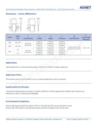 C062C104K1R5TA Datasheet Page 2