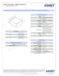 C0805W103KBRAC7800 Datasheet Cover