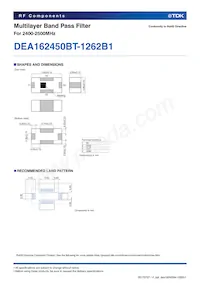 DEA162450BT-1262B1 Datasheet Page 2