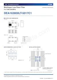 DEA163800LT-5017C1 Datasheet Pagina 2