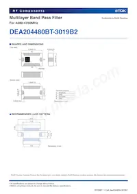 DEA204480BT-3019B2 Datasheet Page 2
