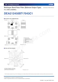 DEA212450BT-7043C1 Datenblatt Seite 2