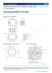 DEA252450BT-7014D1 Datasheet Page 2