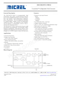 DSC2041FE1-F0014T 데이터 시트 표지