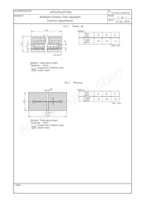 ECJ-1V41E105M Datasheet Page 9