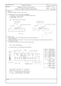 ECJ-1V41E105M Datasheet Pagina 21