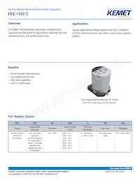 EEV107M6R3A9GAA Datasheet Copertura