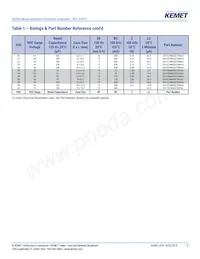 EEV107M6R3A9GAA Datasheet Pagina 6