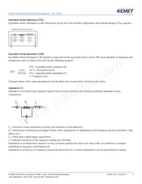 EEV107M6R3A9GAA Datasheet Pagina 9