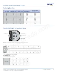 EEV107M6R3A9GAA Datasheet Page 13