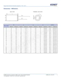 ESC108M035AL4AA Datasheet Page 3