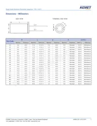 ESC108M035AL4AA Datasheet Pagina 3