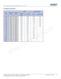 ESC108M035AL4AA Datasheet Pagina 17