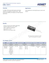 ESW108M063AM3AA 데이터 시트 표지