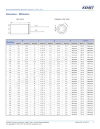 ESW108M063AM3AA Datasheet Pagina 3