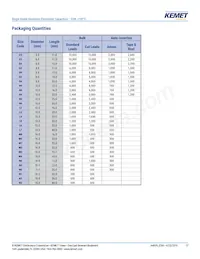 ESW108M063AM3AA Datenblatt Seite 17