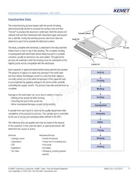 EXV337M6R3A9MAA Datenblatt Seite 17