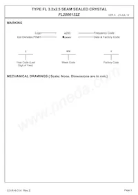 FL2000132Z Datenblatt Seite 5