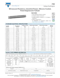 FSE030020E25R0KE Datasheet Cover