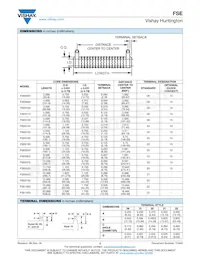 FSE030020E25R0KE Datasheet Page 2