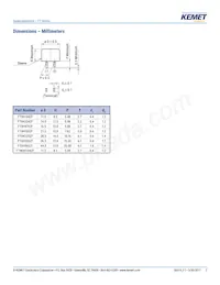 FT0H105ZF Datasheet Page 2