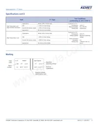 FT0H105ZF Datasheet Page 6