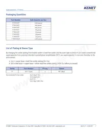 FT0H105ZF Datasheet Page 7