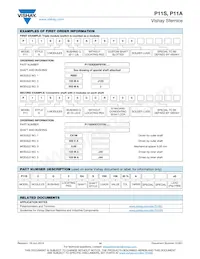 P11S2V0FLSY00103KA Datasheet Page 14