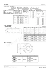 PSR100KTQFD0L30 Datenblatt Seite 5