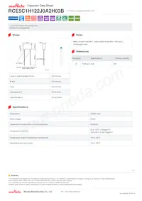 RCE5C1H122J0A2H03B Datasheet Cover