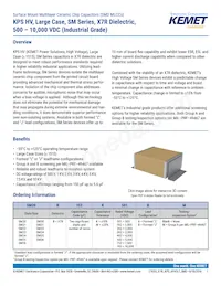 SM36B565K501B Datasheet Cover