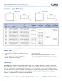 SM36B565K501B Datasheet Page 2