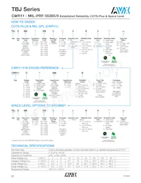 TBJD107K010LRSB0023 Datasheet Page 2