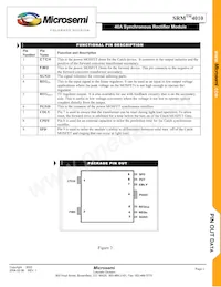 SRM4010 Datasheet Page 3