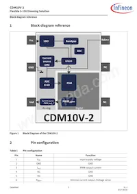 CDM10V2XTSA1 Datasheet Pagina 3