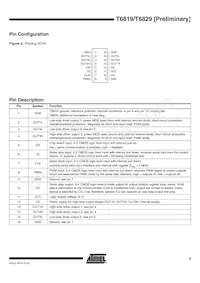 T6819-TBSY Datasheet Pagina 3