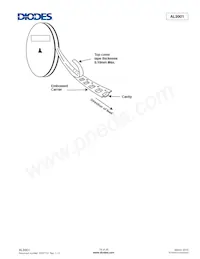 AL9901S16-13 Datenblatt Seite 19