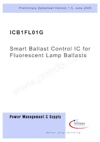 ICB1FL01G Datenblatt Cover