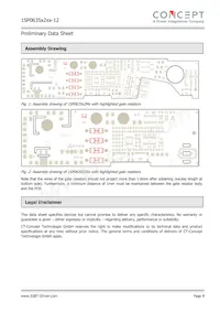 1SP0635D2S1-12 Datasheet Page 8