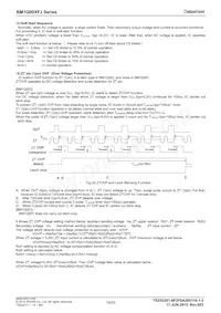 BM1Q002FJ-E2 Datasheet Page 19