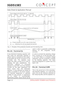 IGD515EI Datasheet Page 12