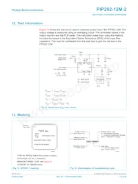 PIP202-12M-2 Datasheet Pagina 13