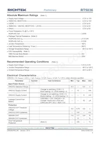 RT5036GQW Datasheet Page 9