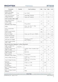 RT5036GQW Datasheet Page 13