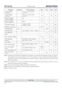 RT5036GQW Datasheet Page 14